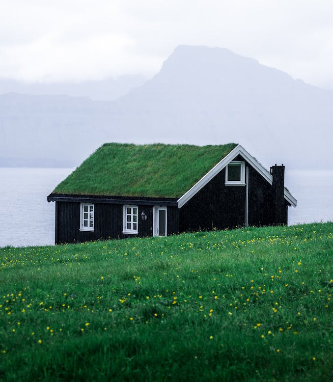 A dark colored house with a roof covered in greenery