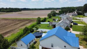 Gallery Blue Bayles Selma_(1)