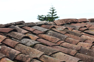 Close-up of brown roof shingles