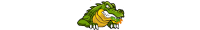 gator divider-color-200 2