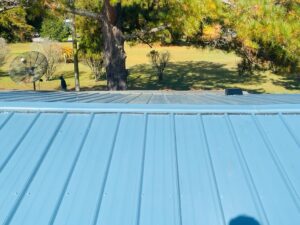 hawaiian-blue-person-greenville_2.jpg