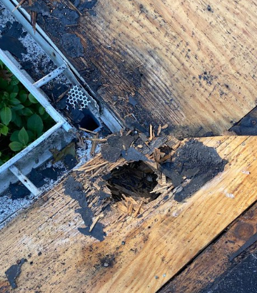 Roofing damage in NC